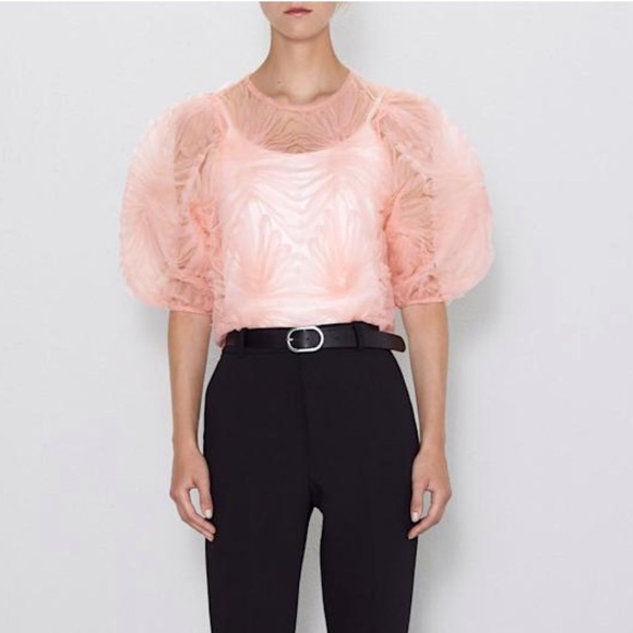 Zara Tops Zara Pink Tulle Puff Sleeve Sheer Top Poshmark